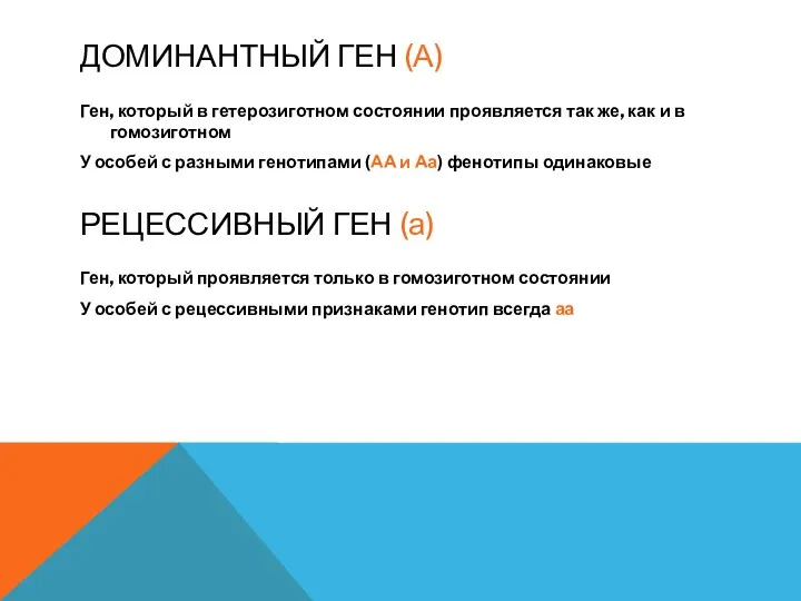 ДОМИНАНТНЫЙ ГЕН (А) Ген, который в гетерозиготном состоянии проявляется так