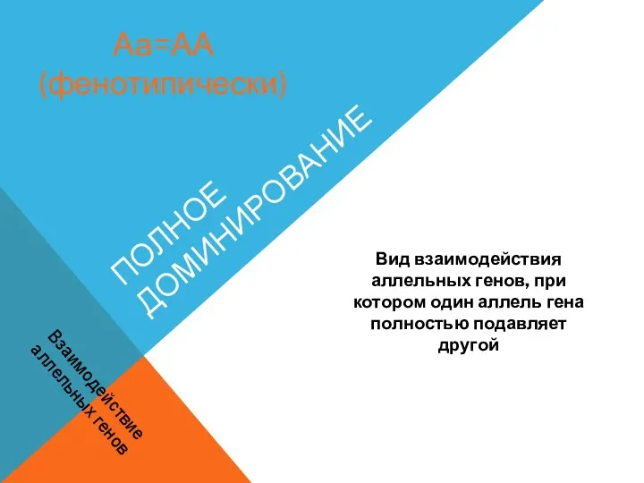 ПОЛНОЕ ДОМИНИРОВАНИЕ Вид взаимодействия аллельных генов, при котором один аллель