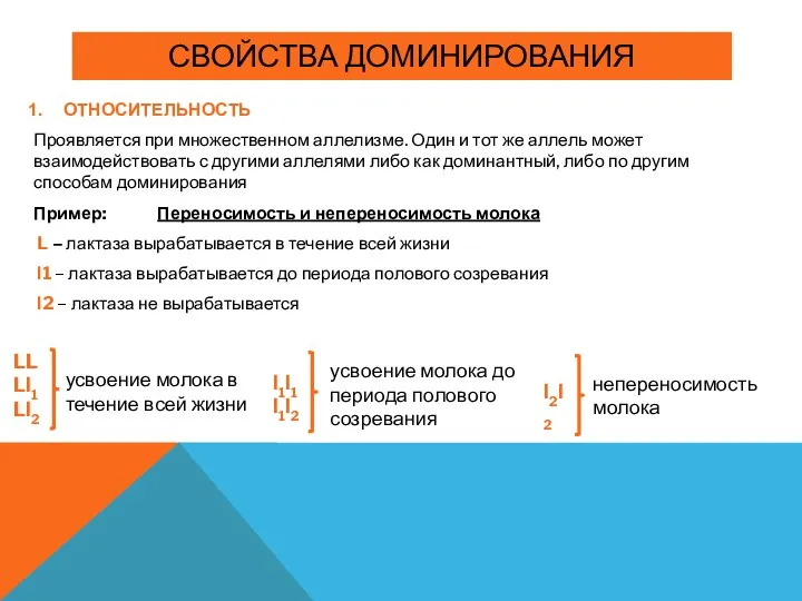 СВОЙСТВА ДОМИНИРОВАНИЯ ОТНОСИТЕЛЬНОСТЬ Проявляется при множественном аллелизме. Один и тот