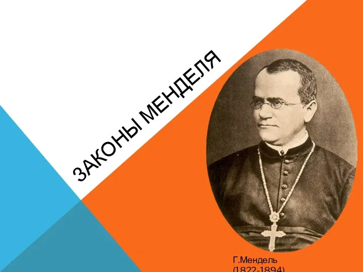 ЗАКОНЫ МЕНДЕЛЯ Г.Мендель (1822-1894)