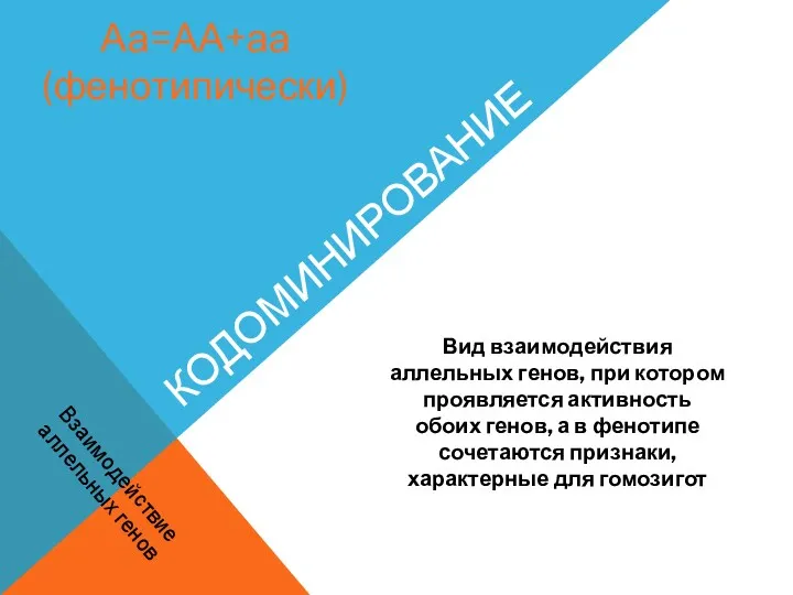 КОДОМИНИРОВАНИЕ Вид взаимодействия аллельных генов, при котором проявляется активность обоих