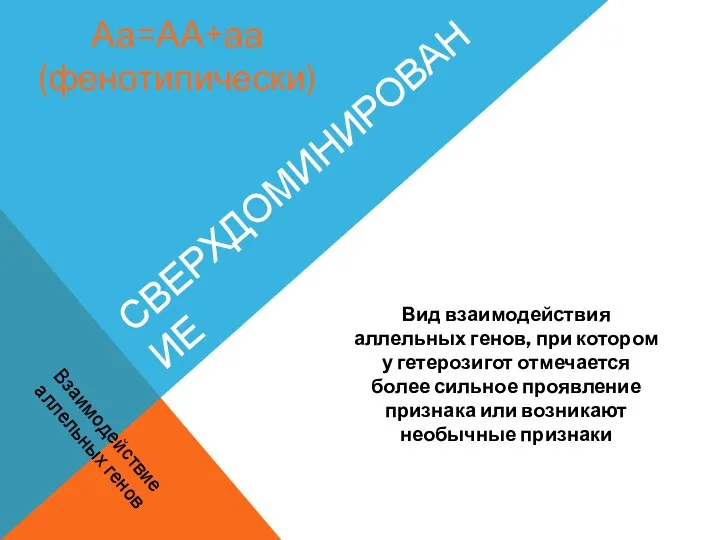 СВЕРХДОМИНИРОВАНИЕ Вид взаимодействия аллельных генов, при котором у гетерозигот отмечается