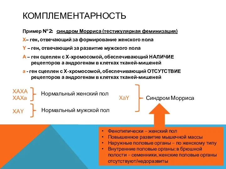 КОМПЛЕМЕНТАРНОСТЬ Пример №2: синдром Морриса (тестикулярная феминизация) Х– ген, отвечающий