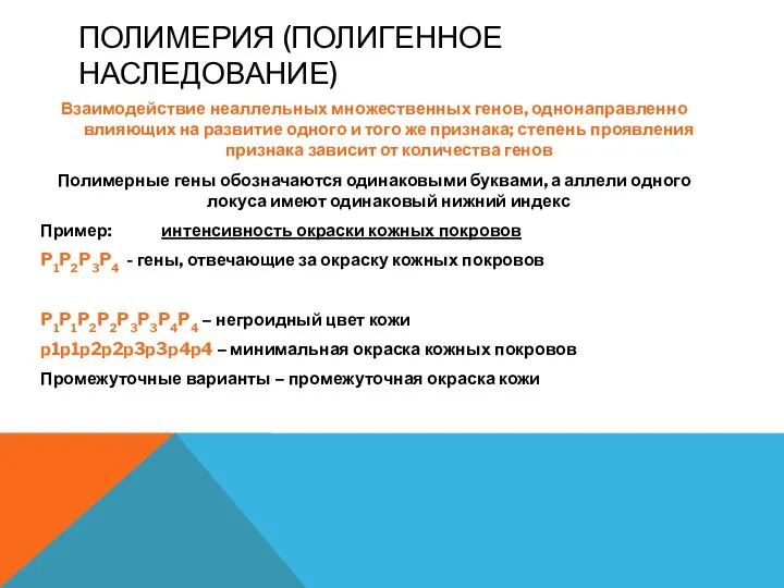 ПОЛИМЕРИЯ (ПОЛИГЕННОЕ НАСЛЕДОВАНИЕ) Взаимодействие неаллельных множественных генов, однонаправленно влияющих на