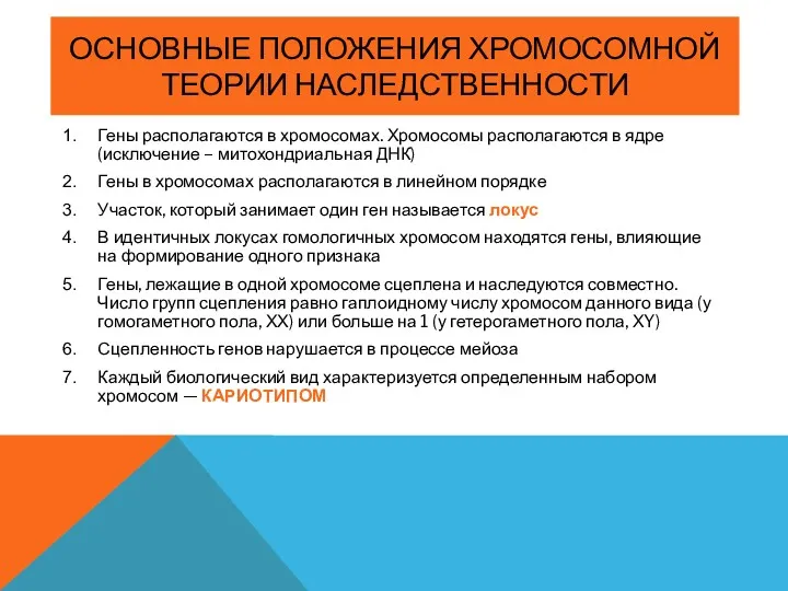 ОСНОВНЫЕ ПОЛОЖЕНИЯ ХРОМОСОМНОЙ ТЕОРИИ НАСЛЕДСТВЕННОСТИ Гены располагаются в хромосомах. Хромосомы