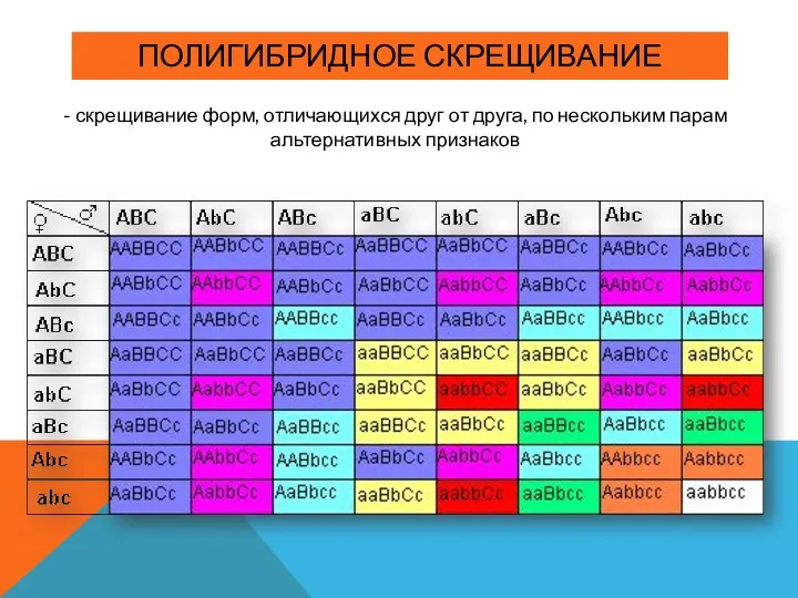 ПОЛИГИБРИДНОЕ СКРЕЩИВАНИЕ - скрещивание форм, отличающихся друг от друга, по нескольким парам альтернативных признаков