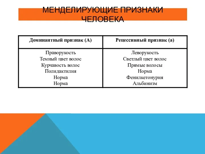 МЕНДЕЛИРУЮЩИЕ ПРИЗНАКИ ЧЕЛОВЕКА