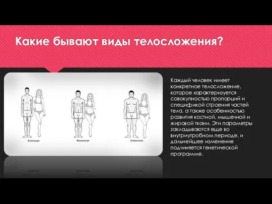 Какие бывают виды телосложения? Каждый человек имеет конкретное телосложение, которое