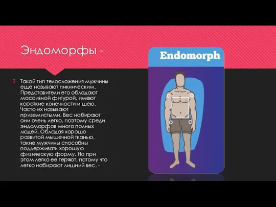 Эндоморфы - Такой тип телосложения мужчины еще называют пикническим. Представители