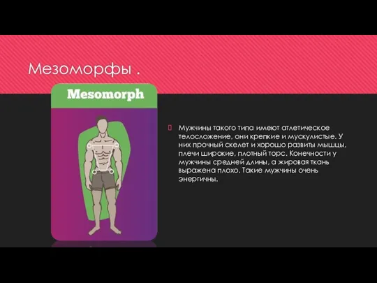 Мезоморфы . Мужчины такого типа имеют атлетическое телосложение, они крепкие