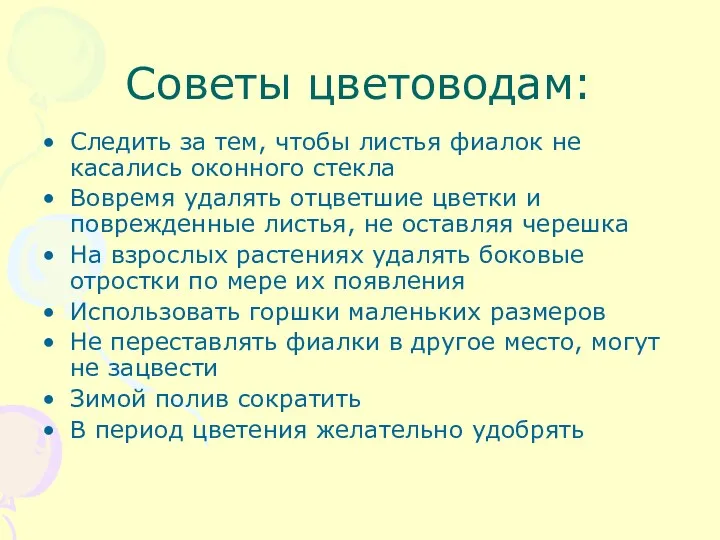 Советы цветоводам: Следить за тем, чтобы листья фиалок не касались