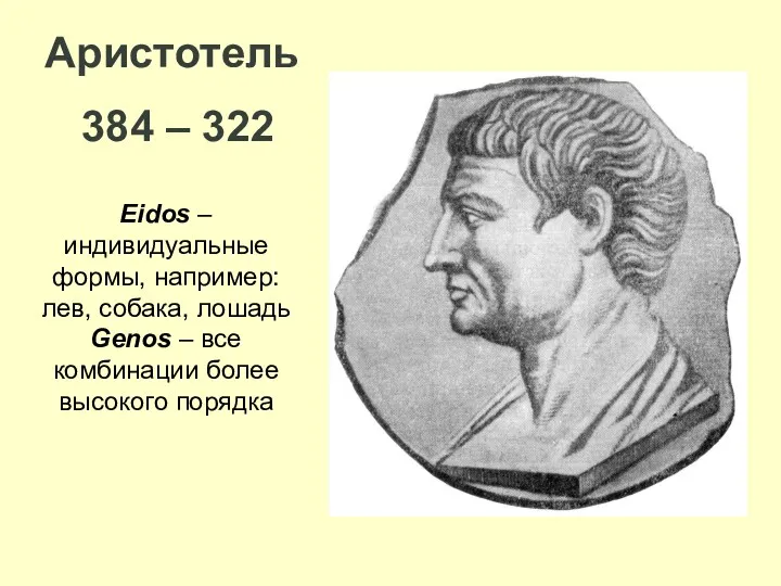Аристотель 384 – 322 Eidos – индивидуальные формы, например: лев,