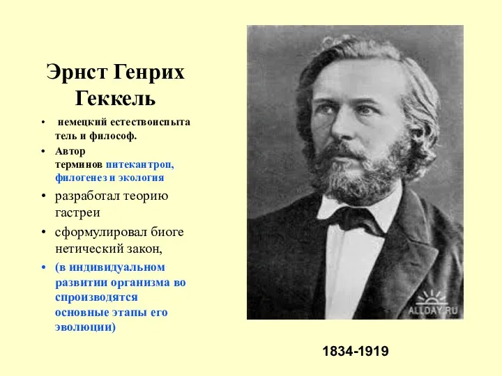 Эрнст Генрих Геккель немецкий естествоиспытатель и философ. Автор терминов питекантроп,