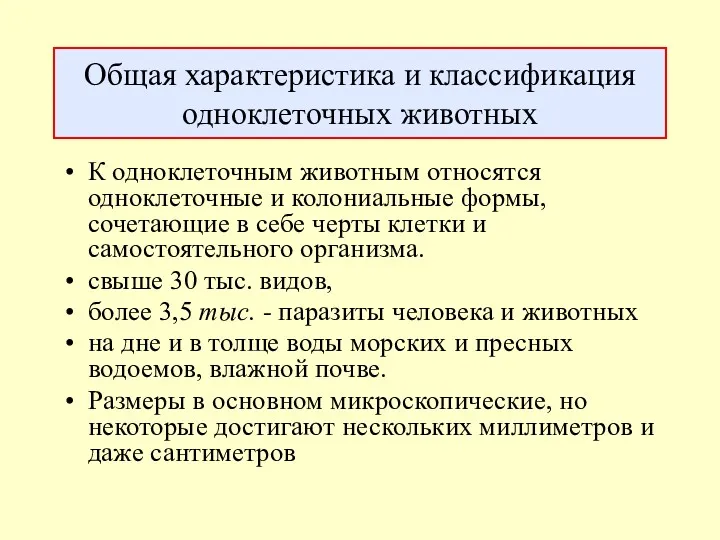 Общая характеристика и классификация одноклеточных животных К одноклеточным животным относятся