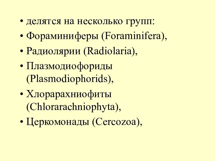 делятся на несколько групп: Фораминиферы (Foraminifera), Радиолярии (Radiolaria), Плазмодиофориды (Plasmodiophorids), Хлорарахниофиты (Chlorarachniophyta), Церкомонады (Сercozoa),