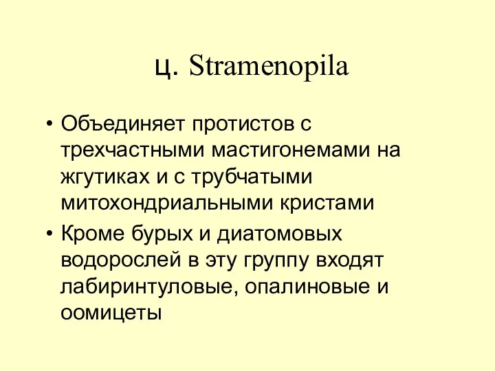 ц. Stramеnopila Объединяет протистов с трехчастными мастигонемами на жгутиках и