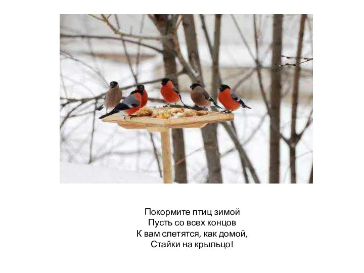 Покормите птиц зимой Пусть со всех концов К вам слетятся, как домой, Стайки на крыльцо!