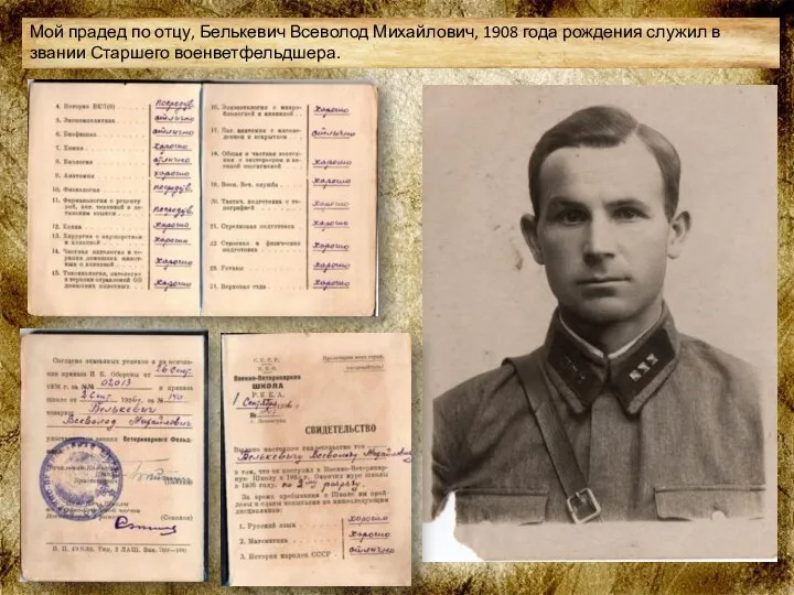 Мой прадед по отцу, Белькевич Всеволод Михайлович, 1908 года рождения служил в звании Старшего военветфельдшера.