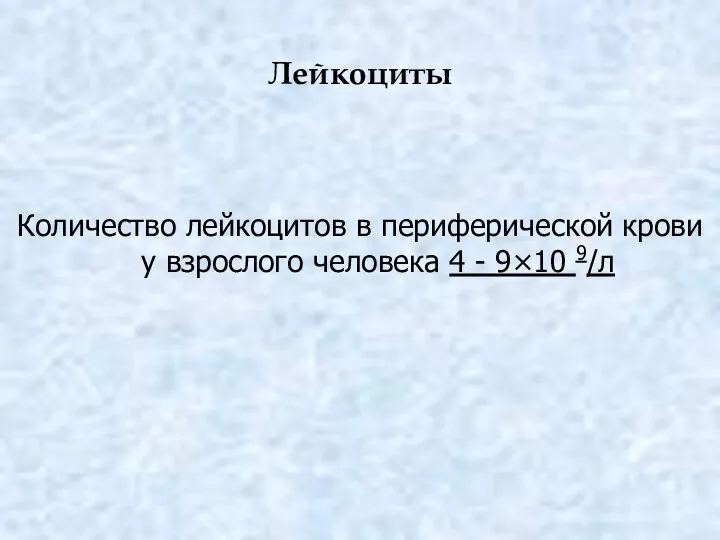 Лейкоциты Количество лейкоцитов в периферической крови у взрослого человека 4 - 9×10 9/л