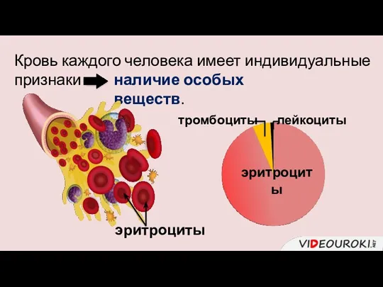 Кровь каждого человека имеет индивидуальные признаки наличие особых веществ. эритроциты тромбоциты эритроциты лейкоциты