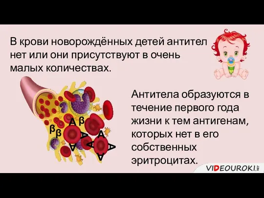 В крови новорождённых детей антител нет или они присутствуют в очень малых количествах.