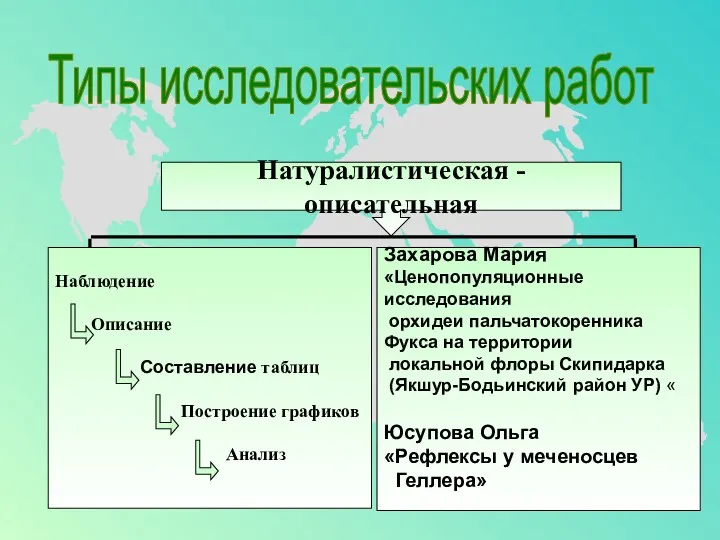 Типы исследовательских работ Натуралистическая - описательная Наблюдение Описание Составление таблиц