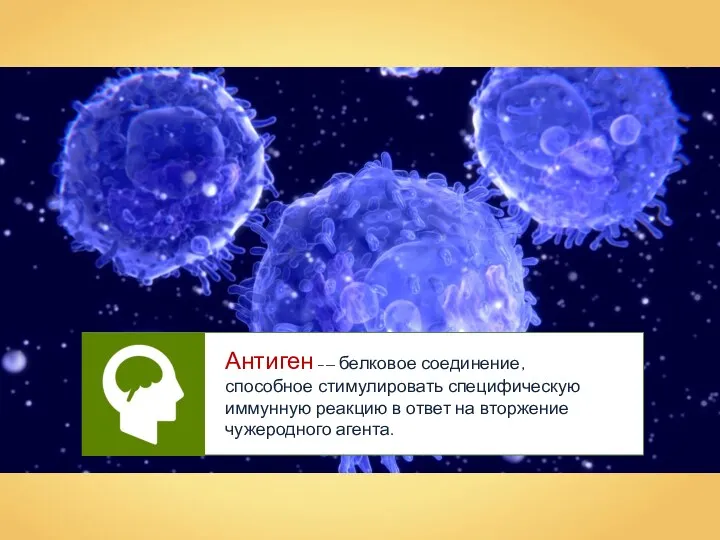 Антиген –— белковое соединение, способное стимулировать специфическую иммунную реакцию в ответ на вторжение чужеродного агента.