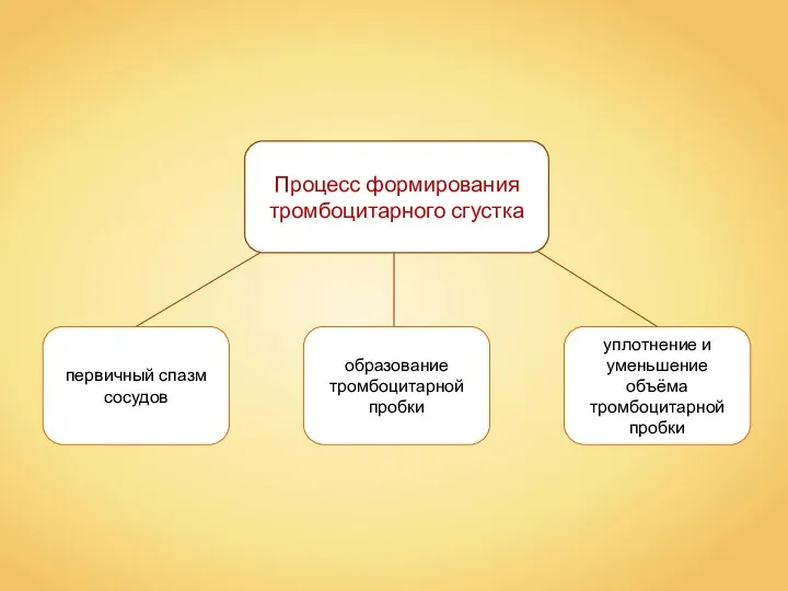 Процесс формирования тромбоцитарного сгустка