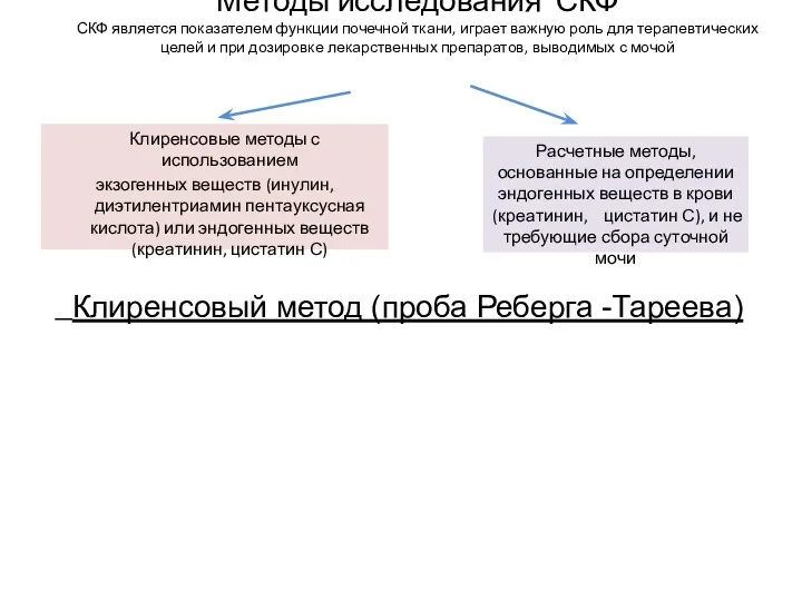 Методы исследования СКФ СКФ является показателем функции почечной ткани, играет