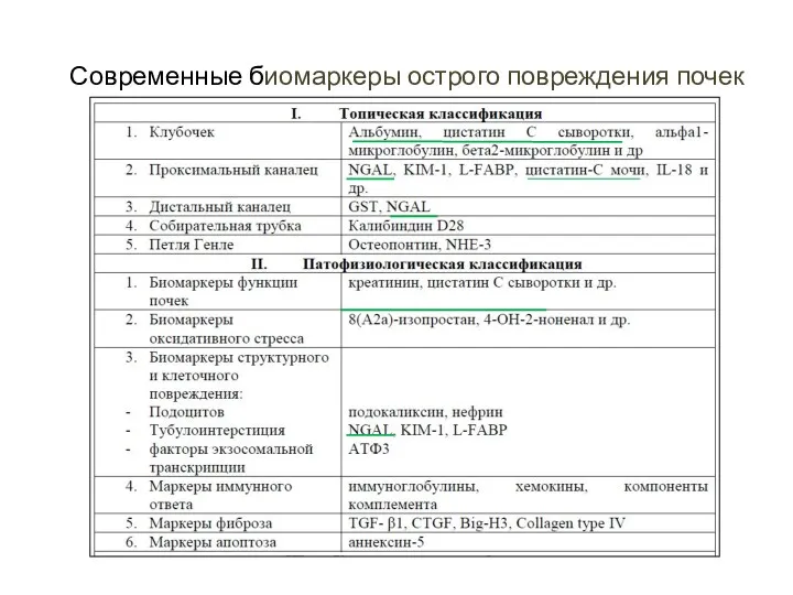 Современные биомаркеры острого повреждения почек