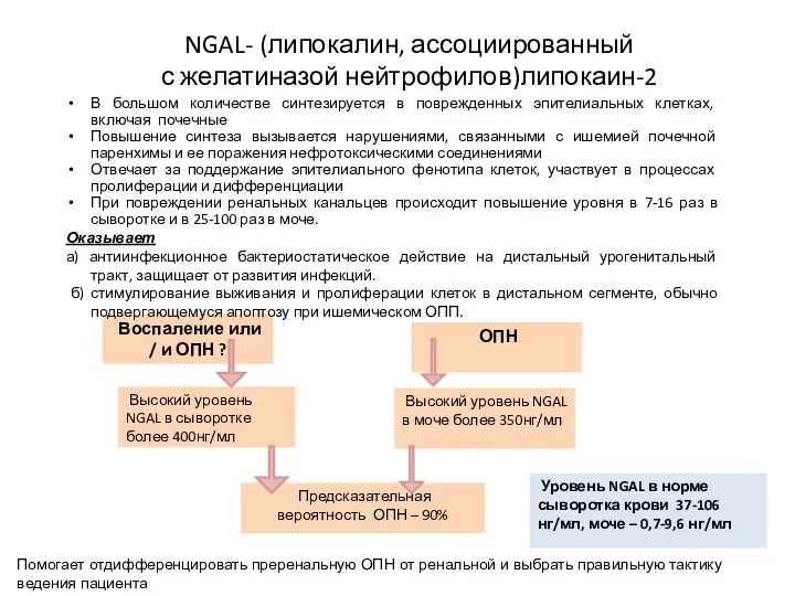 NGAL- (липокалин, ассоциированный с желатиназой нейтрофилов)липокаин-2 Высокий уровень NGAL в