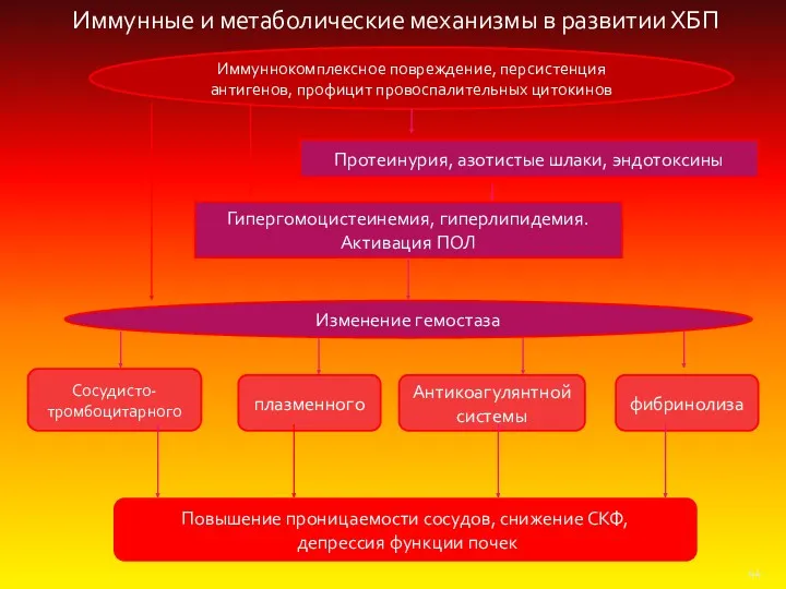 Протеинурия, азотистые шлаки, эндотоксины Гипергомоцистеинемия, гиперлипидемия. Активация ПОЛ Иммуннокомплексное повреждение,