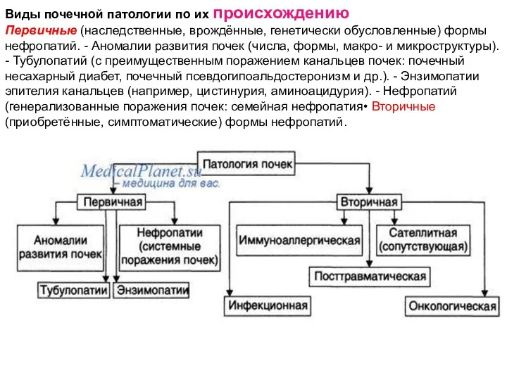 Виды почечной патологии по их происхождению Первичные (наследственные, врождённые, генетически