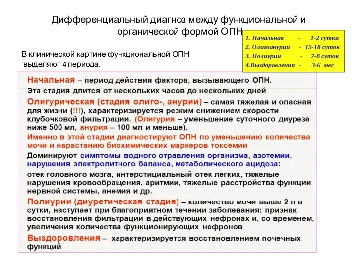 Дифференциальный диагноз между функциональной и органической формой ОПН В клинической картине функциональной ОПН выделяют 4 периода.