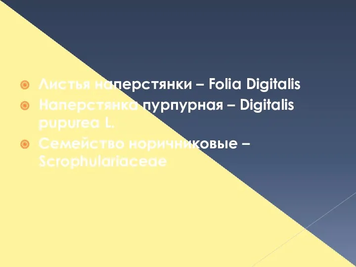 Листья наперстянки – Folia Digitalis Наперстянка пурпурная – Digitalis рupurea L. Семейство норичниковые – Scrophulariaceae