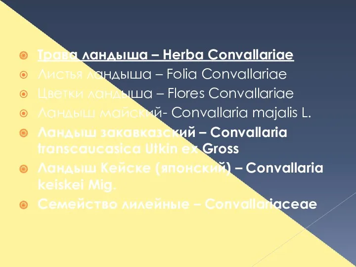 Трава ландыша – Herba Convallariae Листья ландыша – Folia Convallariae