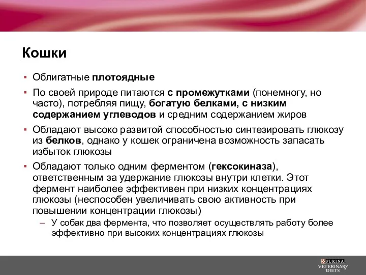 Кошки Облигатные плотоядные По своей природе питаются с промежутками (понемногу,