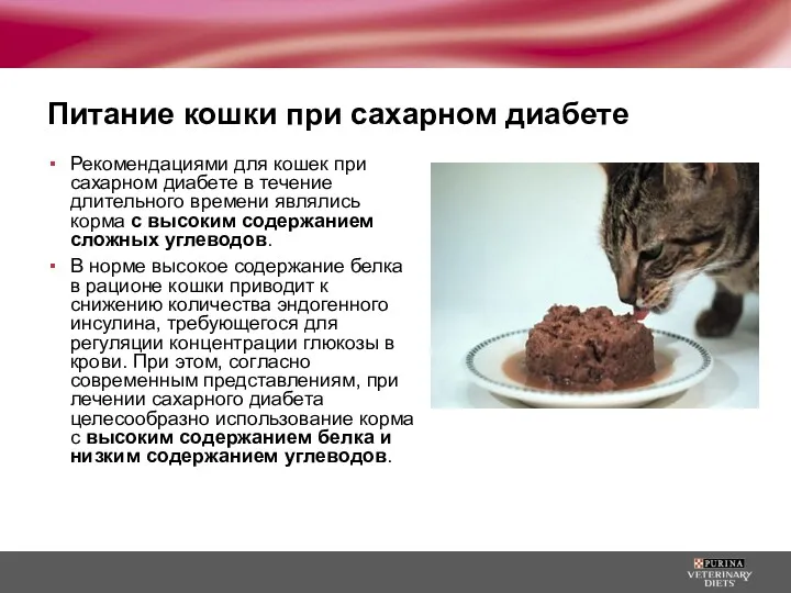 Питание кошки при сахарном диабете Рекомендациями для кошек при сахарном