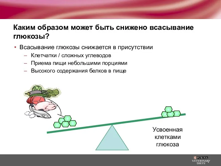 Каким образом может быть снижено всасывание глюкозы? Всасывание глюкозы снижается