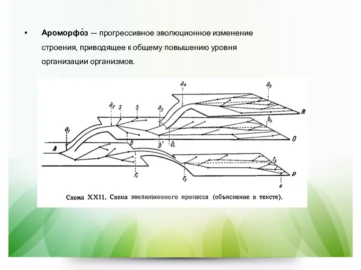 Ароморфо́з — прогрессивное эволюционное изменение строения, приводящее к общему повышению уровня организации организмов.