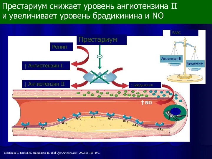 Престариум снижает уровень ангиотензина II и увеличивает уровень брадикинина и NO Morishita T,