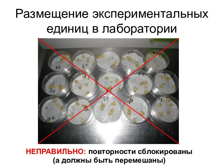 Размещение экспериментальных единиц в лаборатории НЕПРАВИЛЬНО: повторности сблокированы (а должны быть перемешаны)