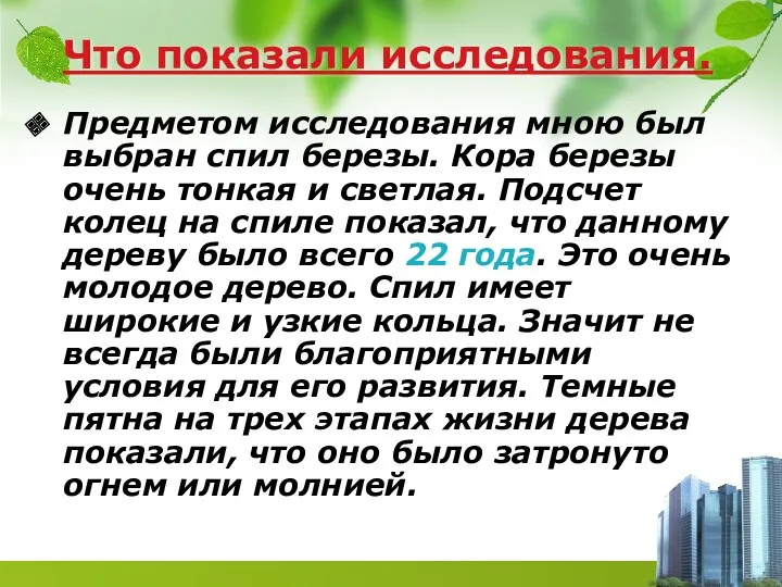 Что показали исследования. Предметом исследования мною был выбран спил березы.