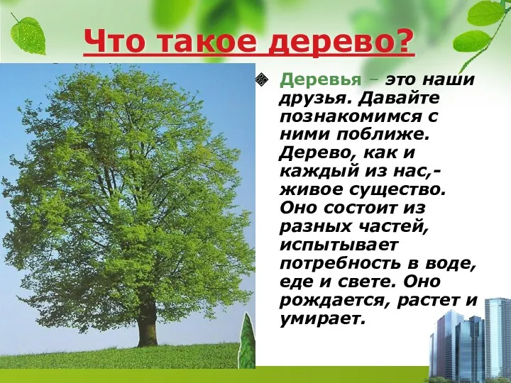 Что такое дерево? Деревья – это наши друзья. Давайте познакомимся с ними поближе.