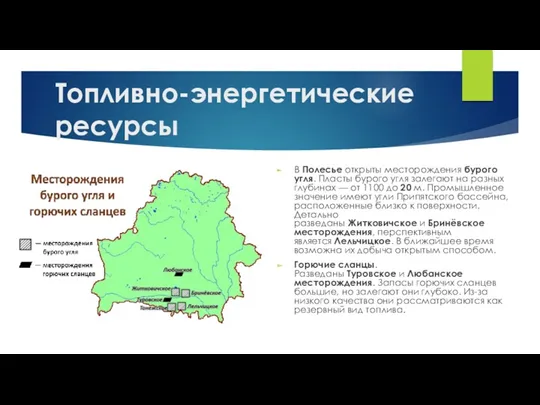 Топливно-энергетические ресурсы В Полесье открыты месторождения бурого угля. Пласты бурого