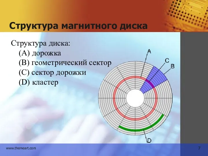 Структура магнитного диска Структура диска: (A) дорожка (B) геометрический сектор (C) сектор дорожки (D) кластер