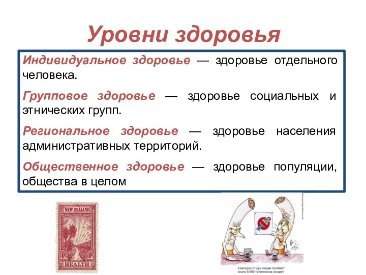 Уровни здоровья Индивидуальное здоровье — здоровье отдельного человека. Групповое здоровье