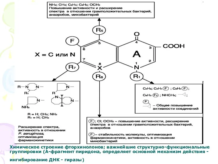 Химическое строение фторхинолонов; важнейшие структурно-функциональные группировки (А-фрагмент пиридона, определяет основной механизм действия -