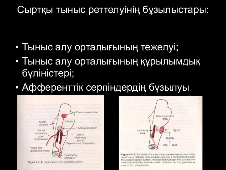 Сыртқы тыныс реттелуінің бұзылыстары: Тыныс алу орталығының тежелуі; Тыныс алу орталығының құрылымдық бүліністері; Афференттік серпіндердің бұзылуы