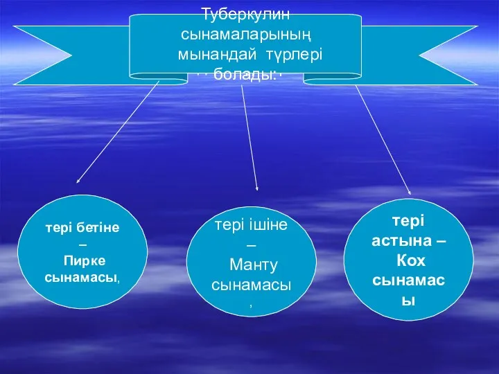 Туберкулин сынамаларының мынандай түрлері болады: Туберкулин сынамаларының мынандай түрлері болады: